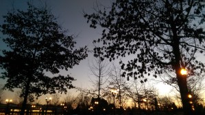 It's just one night...