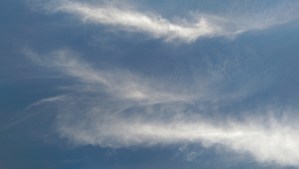 Blue skies and wonder; worth looking up for.