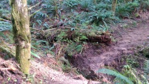 Sometimes I can see where the path leads, but the way is not easy.