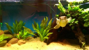 A quiet place to sit, in the back, becomes another moment of stillness and contemplation.