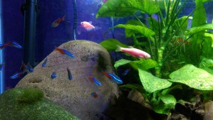 They live, each moment what it is, safe in their private world.