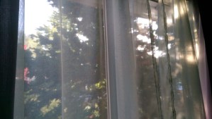 Do I see what I see through honest eyes, or is it filtered through my experience, and my own limited awareness and understanding?