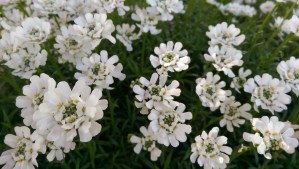 Simple pleasures feel like home...