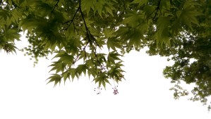 There's more than one perspective on 'home'...