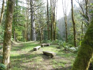 Taking time to consider the journey, to rest, to observe, to enjoy, all have value of their own; there is no need to rush life.