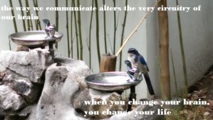 Change is. Choose wisely.