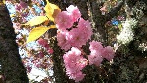 Letting in the light, letting in the love, and open to the possibilities.