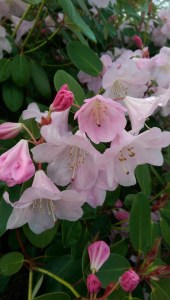 This moment. Just this one, right here. 