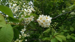 Perspective offers a chance to make changes.