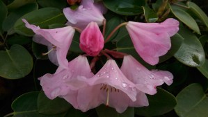 Each moment has its own beauty, its own significance, and its own worth.