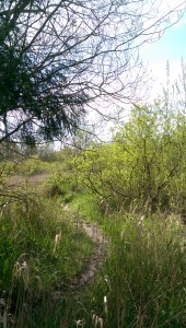 The path is mine to choose... or not.