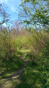 My path takes a turn I don't expect; the way ahead holds so much promise.