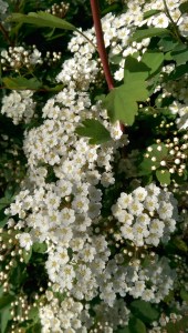 Taking a moment just for me to enjoy my own moment - totally okay, too. :-)