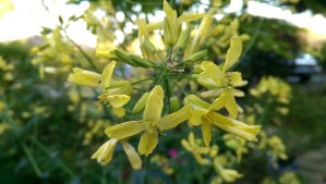 Some moments only reveal their beauty when I slow down to notice it.