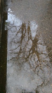 Pausing to reflect on what is, what isn't, and what has changed.