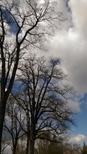 Choose your adventure. Choose your perspective. Choose your experience.