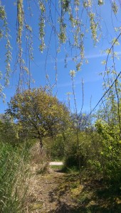 I didn't have to travel far to find delight in the day, I only needed to allow the feelings to make a home in my heart.