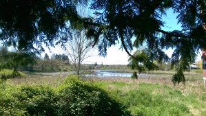 In the distance, the world - and the office. 