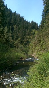 One moment of many; an opportunity to breathe, to observe, and to be.