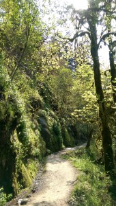 Sometimes the path I walk seems well lit.