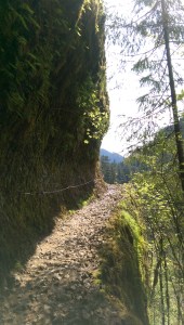 Sometimes the path seems more challenging; it's helpful to have something to hold on to.