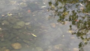 It is difficult to experience what is outside my awareness.