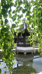 Reflecting on life, and the world; what is 'enough'?