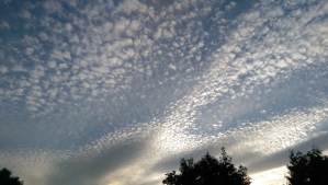 There is value in considering the vastness of our potential, and our options.