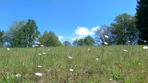 The journey is not all blue skies and meadows...but there are some blue skies and meadows to enjoy along the way.