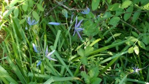 Being patience and looking closer pays off.