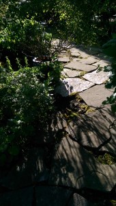 Where does my path take me? How do I look beyond patterns to find change?