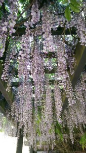 Where does inspiration come from? Why does it feel like being in love?