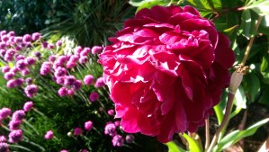 Today is a good day for perspective.