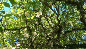 We are connected, related, interdependent, and reliant upon each other for survival. How do I balance my needs, and wants, versus those of the world?