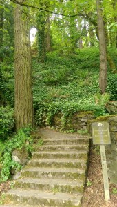 New path, new perspective.