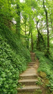 There are verbs involved - and it is not possible to see what is around the next bend.