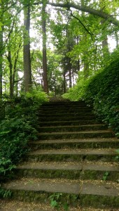 Sometimes it seems a lot of work, and I'm not sure I'm on the right path...