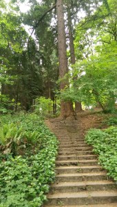 There are obstacles. Distractions. Sideshows. 