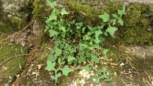 It is worth investing in me, and learning to thrive in difficult circumstances.