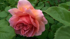 Prescription strength mindfulness has been the best Rx for me...and it can be taken as part of any treatment plan!