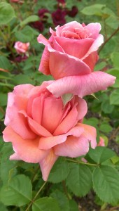 Take a moment to consider all the vastness of the unknown...there is so much yet to be known, I can't even describe how much I don't know!