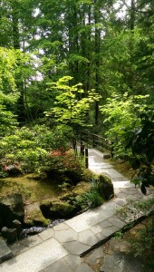 Study is a bit like following a path carefully built by others who have gone on ahead; I still don't know where it may lead, but there is some comfort in knowing I am not alone on the journey.