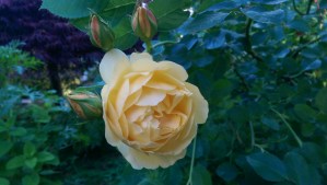 This is not a journey with a destination.