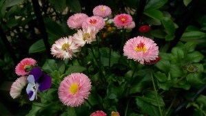 The map is not the world...still good to have a map, though. :-)