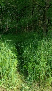 Sometimes the least familiar path is most promising.