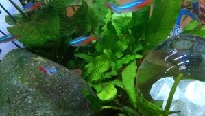 They set a good example of living in the moment.