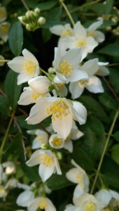 Awake and aware, each day is a new experience.