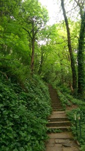 It isn't always clear where my path will take me.