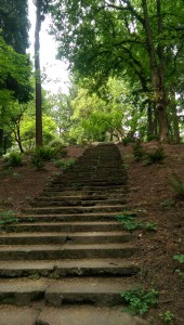 Sometimes the journey is an uphill climb.