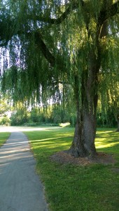 A lovely day to walk my own path.